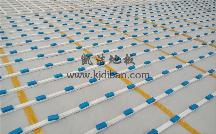 山東鄒城某中學體育館木