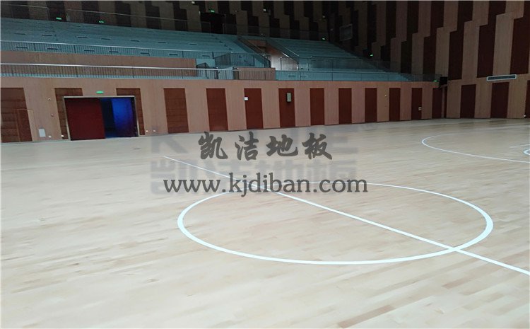 安徽宣城郎溪縣體育館木地板案例